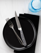 Superior Set of 4 Steak Knives | Gray