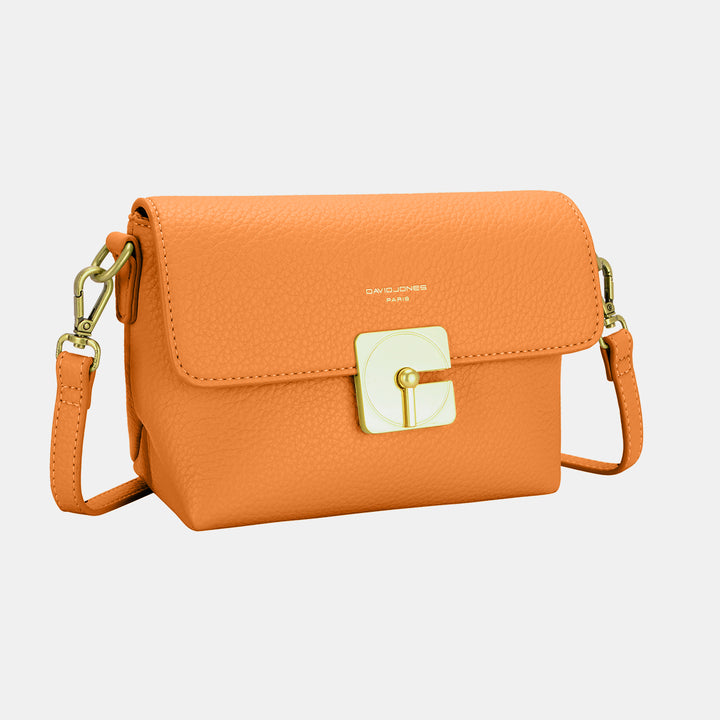 David Jones Leather Crossbody Bag