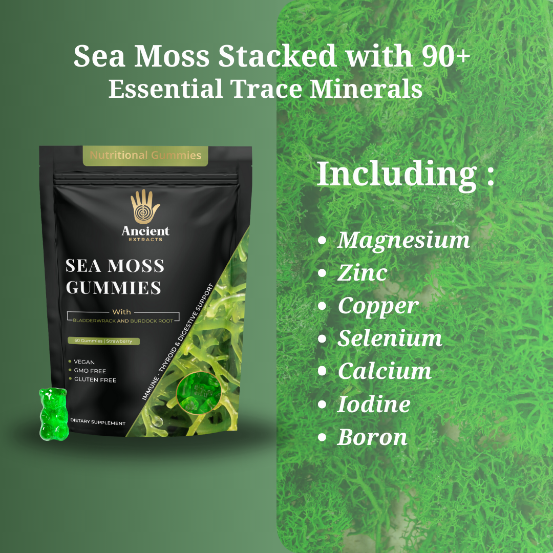 Organic Sea Moss Gummies Apple Flavour