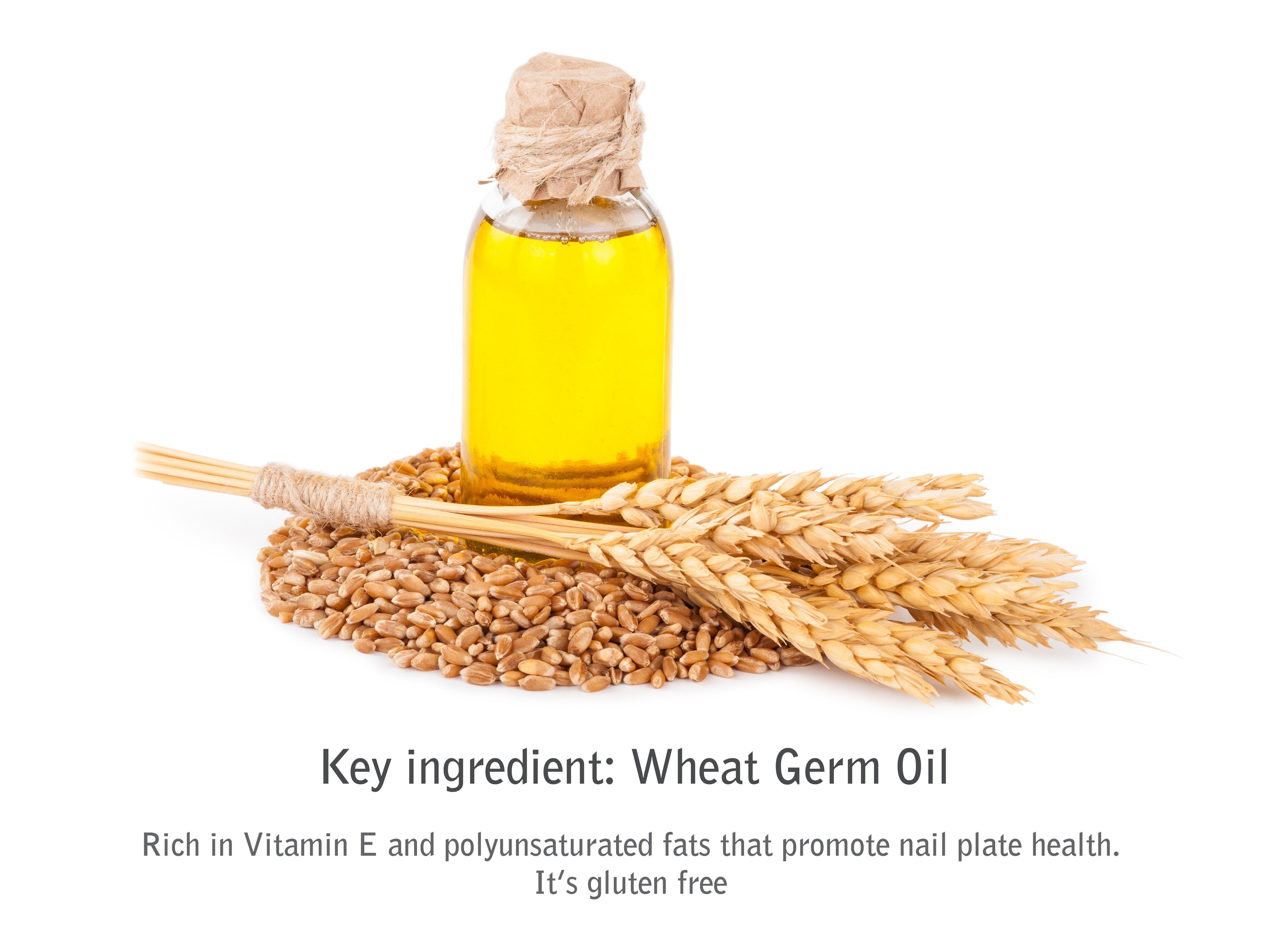 Body Butter Cranberry Moisturizing Protection & Repair for Dry Skin