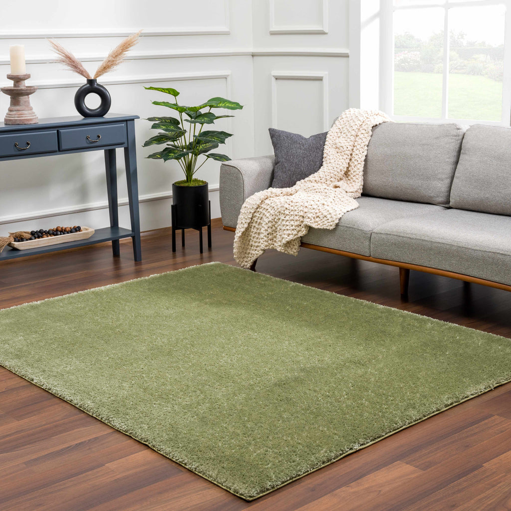 Heavenly Solid Green Plush Rug