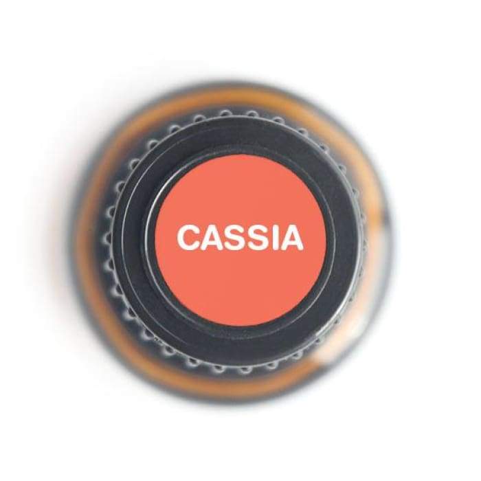 Cassia Pure Essential Oil - 15ml