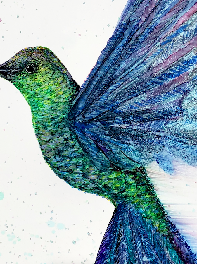 Hummingbird in Flight Prints