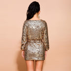 Brenda Sequin Party Dress
