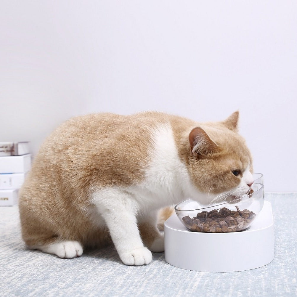 Instachew PETKIT Fresh Nano Cat Bowl