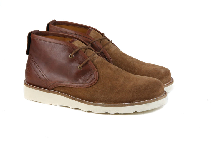 The Nolan Laced Shoe in Cognac