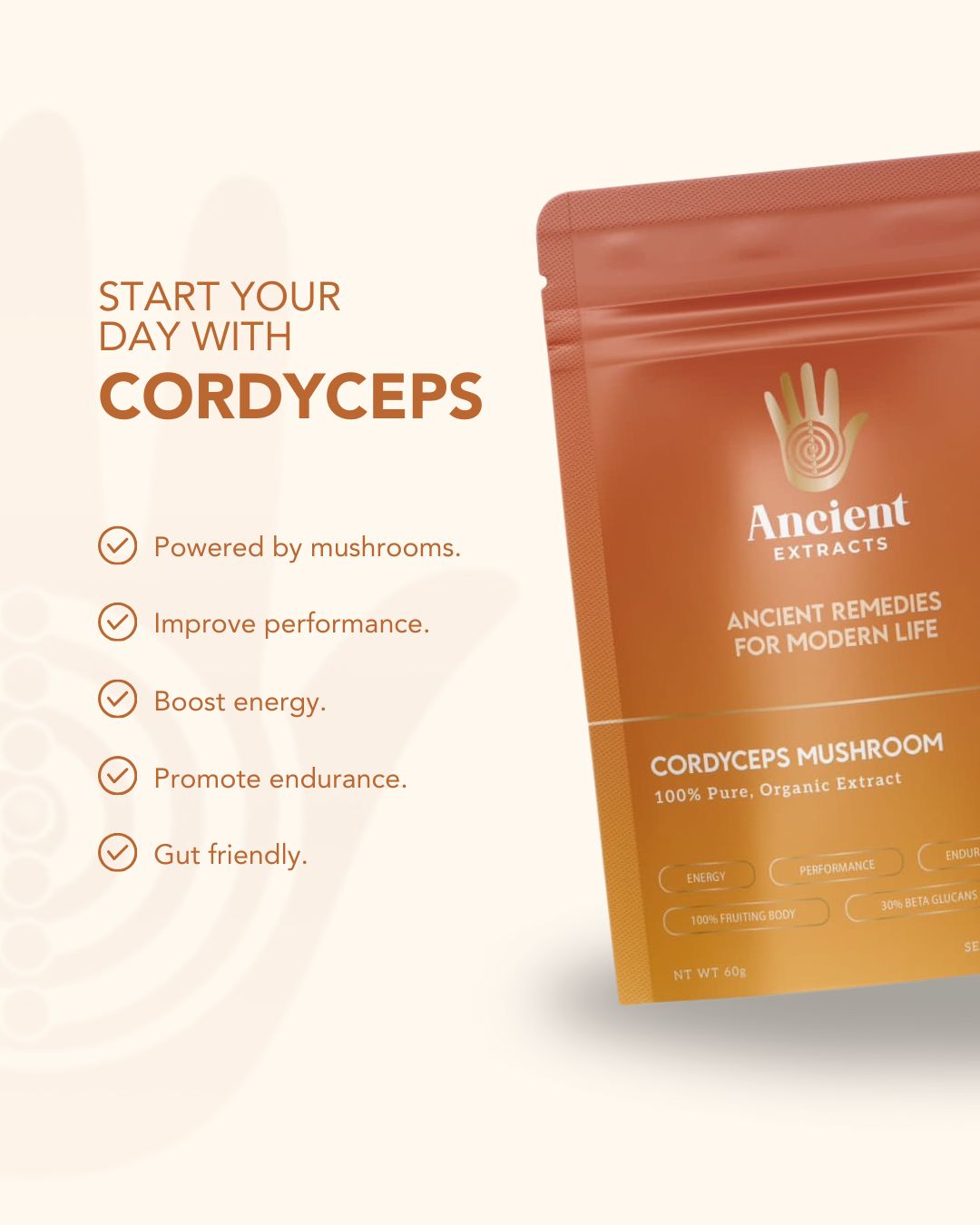 Ancient Extracts Organic Cordyceps Mushroom Powder 30% Beta Glucan 60g