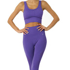 Mesh Seamless Set Bra and Leggings in Purple