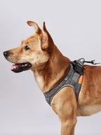 Instachew PETKIT Air Pro Dog Harness